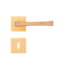 CE -8-
